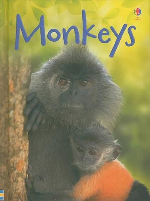 Monkeys