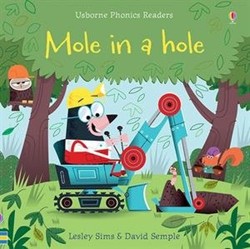 Usborne Books Mole in a Hole