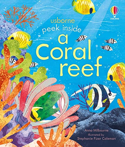 Peek Inside a Coral Reef