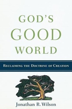 God`s Good World - Reclaiming the Doctrine of Creation