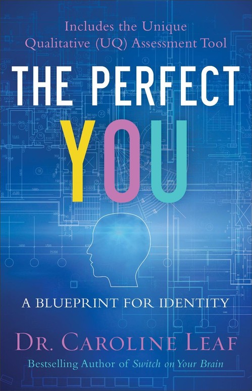 The Perfect You A Blueprint for Identity