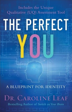 The Perfect You  A Blueprint for Identity