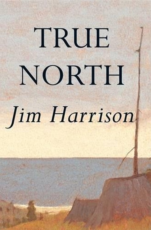 True North