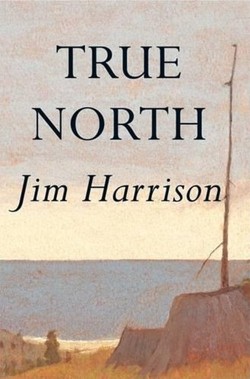 True North