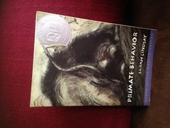 Primate Behavior