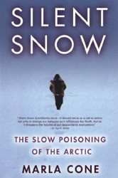 Silent Snow