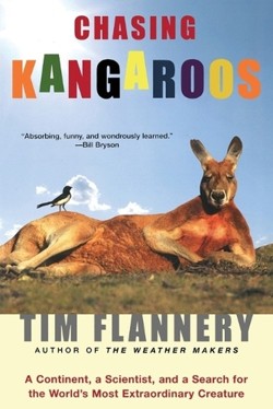 Chasing Kangaroos