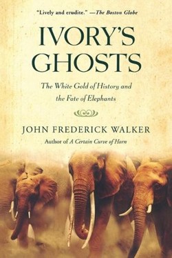 Ivory's Ghosts