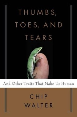 Thumbs, Toes, and Tears