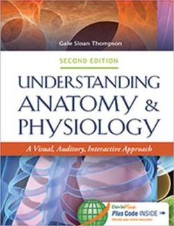 Understanding Anatomy & Physiology