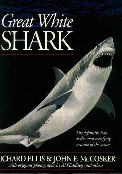 Great White Shark