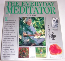 The Everyday Meditator
