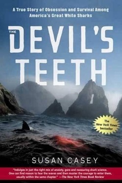 The Devil's Teeth