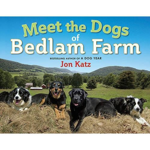 Meet the Dogs of Bedlam Farm