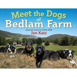 Meet the Dogs of Bedlam Farm