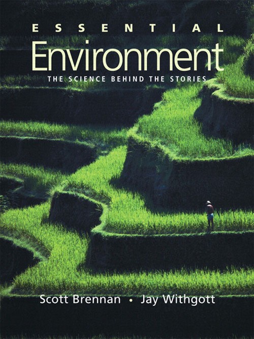 Essential Environment