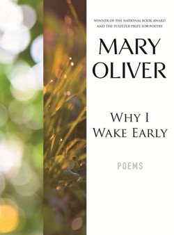 Why I Wake Early