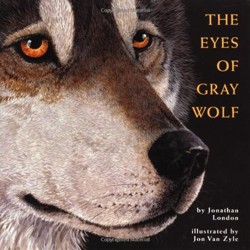 Eyes of Gray Wolf