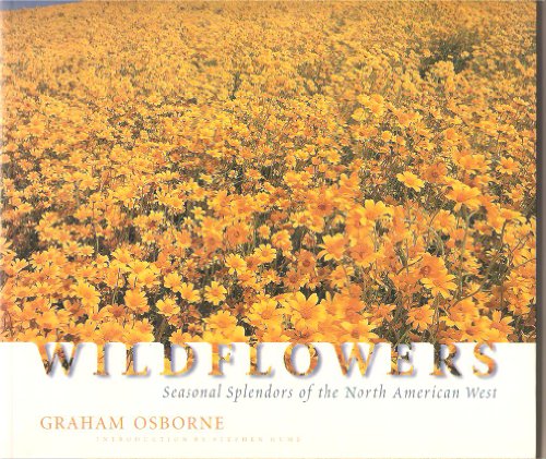Wildflowers