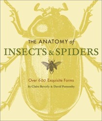 The Anatomy of Insects & Spiders