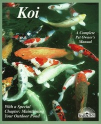 Koi