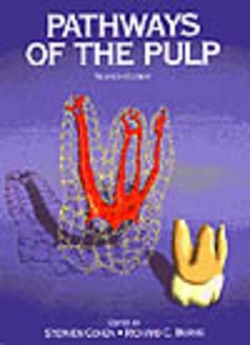 Pathways of the Pulp