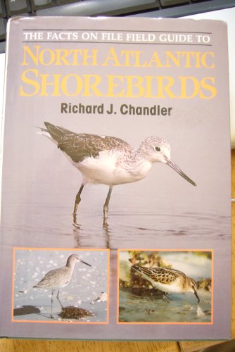 North Atlantic Shorebird