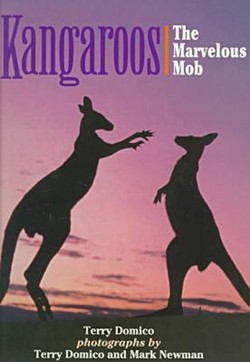 Kangaroos