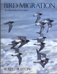 Bird Migration