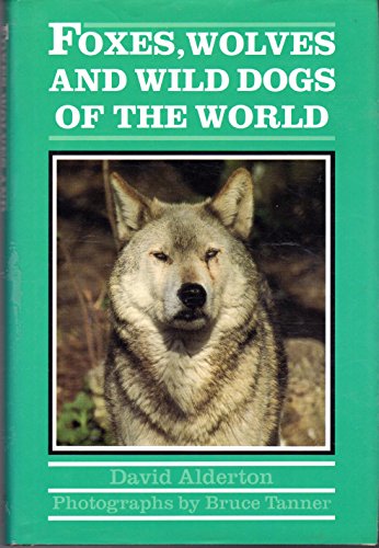 Foxes, Wolves and Wild Dogs