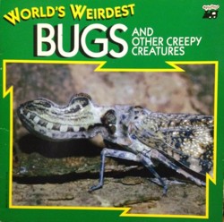 World's Weirdest Bugs - Pbk (8x8)