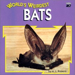 World's Wierdest Bats