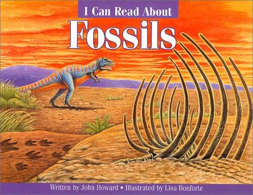 Icr Fossils - Pbk (Deluxe)