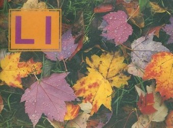 Ll