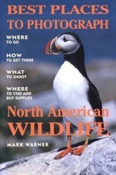 Best Places to Photograph North American Wildlife