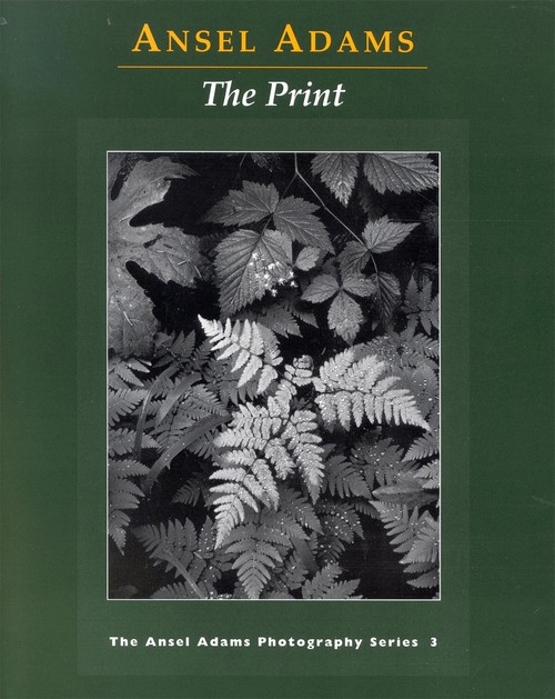 The New Photo Series 3: Print