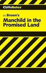 Notes on Brown's Manchild in the Promised Land