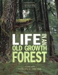 Life in an Old Growth Forest
