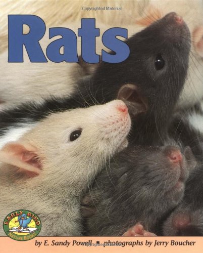 Rats
