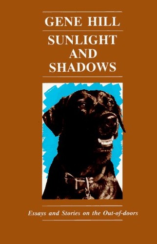 Sunlight and Shadows