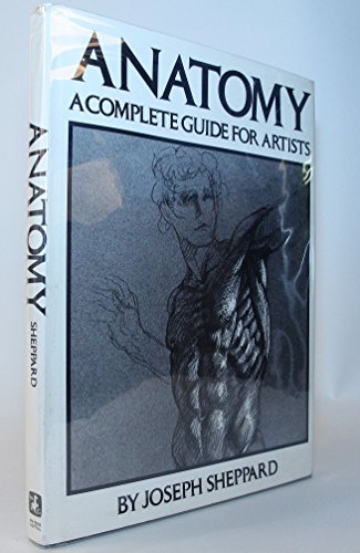 Anatomy