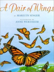 Pair of Wings