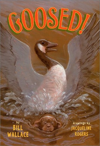 Goosed!