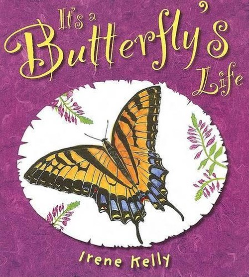 It's a Butterfly's Life