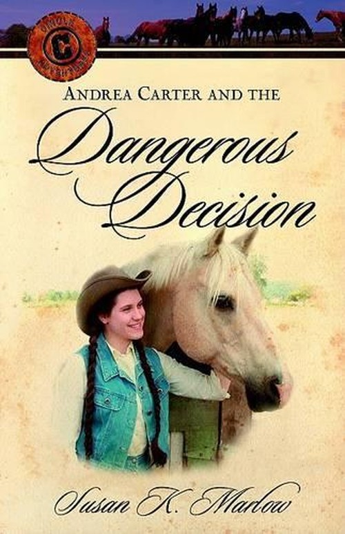Andrea Carter and the Dangerous Decision