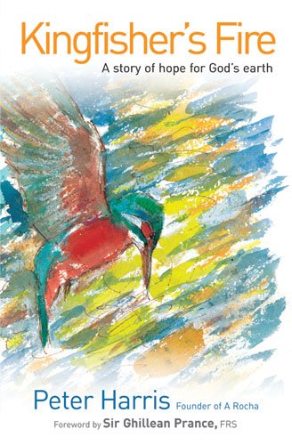 Kingfisher's Fire