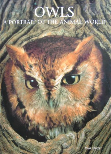 Owls