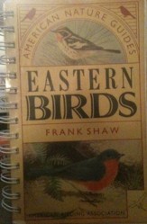 American Nature Guide to Eastern Birds