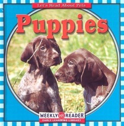 Puppies