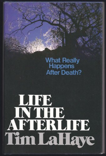 Life in the afterlife